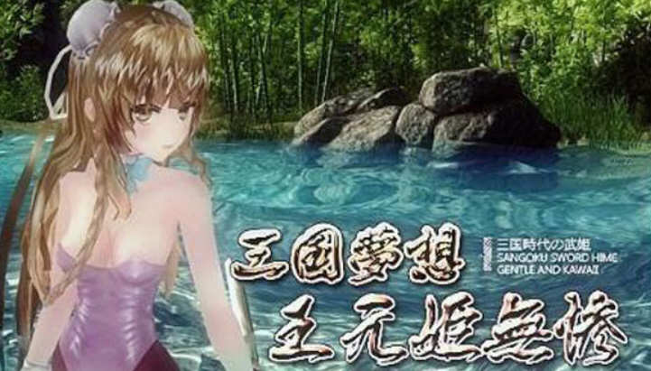 三国梦想：王元姫無惨 官方中文版 同人ARPG游戏 补 3.8G-咔游